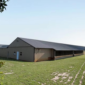 Tùy chỉnh kết cấu thép bền Gà nhà cho chăn nuôi gia cầm - Product Image 2