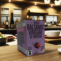 Carton de papier jetable personnalisé de 2L 3L 5L distributeur de boîte de jus infusé à froid de café d'emballage sac à emporter dans la boîte