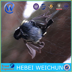 Cáñamo neto para la captura de aves/CLAP Net para captura de aves - Product Image 2