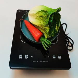 Cocina de Inducción Eléctrica Portátil LF con Control Táctil Único, 2000W, Piezas del Fabricante Líder en China - Product Image 2