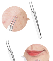 Pince à épiler tout-en-un en acier inoxydable argenté pour l'élimination des points noirs et de l'acné, extracteur de boutons pour la beauté du visage et les soins personnels