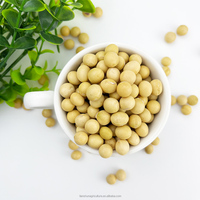 2024 culture chinois à haute teneur en protéines soja jaune soja/soja pour l'alimentation animale