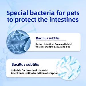 Probióticos para Mascotas, Suplemento Nutricional Universal para Perros y Gatos, Probióticos Activos, Flora Intestinal para Mascotas, Fácil de Digerir, Apoyo para la Salud Intestinal - Product Image 4
