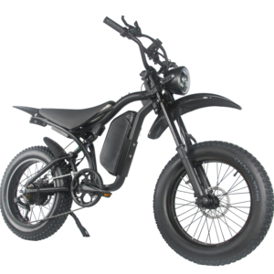 Bicicleta Eléctrica de Montaña con Llantas Gruesas de 20 Pulgadas, Suspensión Completa, 750w, Modelo BS11 - Product Image 1
