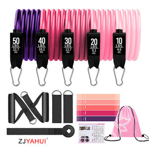 ZJYAHUI Ensemble de bandes de résistance 10-50 lb avec poignées et sac de transport pour entraînement de fitness et entraînement complet du corps - Product Image 1