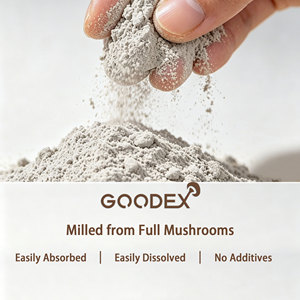 ผงสกัดเห็ดหางไก่งวงป่า GOODEX ผสมวิตามิน บรรจุภัณฑ์แบบดรัมสุญญากาศ จากโรงงานโดยตรง - Product Image 6