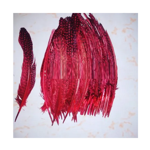 Plumes Teintes Exquises Accessoires de Chapeauterie Projets de Bricolage Conception de Costumes Décorations de Fête de Mariage Artisanat de Mode Designer - Product Image 2