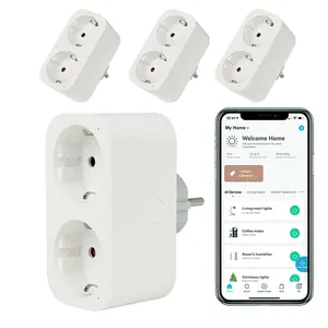 Alexa EU Style Electrical Plastic Dual Socket Holes Tuya Wifi Smart Power Plug