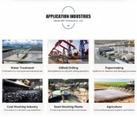 Polyacrylamide PAM Anionique, Cationique et Non-ionique à Prix de Gros – Polymère Stabilisateur pour Boues de Forage