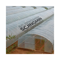 Serre tunnel de jardin populaire, conception accessible, avec couverture en film vert pour fruits, légumes et fleurs