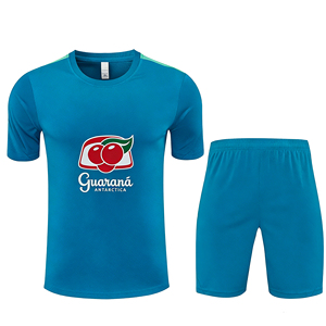 Maillots de football d'été 26/27 Brésil personnalisés à manches courtes col rond unisexe respirant polyester/nylon séchage rapide - Product Image 1
