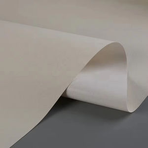 ผืนผ้าใบสำหรับวาดภาพระดับพรีเมียม สำหรับงานศิลปะระดับมืออาชีพ - Product Image 6