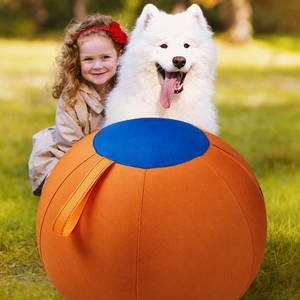 Palla Giocattolo Grande per Cani con Maniglie, Palla Gonfiabile in Tessuto Oxford per Cani di Taglia Grande, Palla Interattiva da Esterno con Pompa ad Aria - Product Image 5