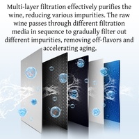 Machine de filtration automatique à double filtre en polypropylène pour whisky, vin blanc, parfum, liqueur, purification du vin, moteur
