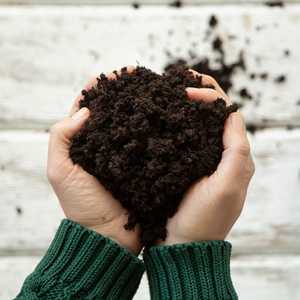 Terriccio organico compresso per erbe e giardino culinario da 5 galloni di espansione per bambini casa vasi di fiori Ramadan regali - Product Image 5