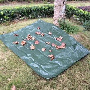 Bâche PE unie à bas <span class=keywords><strong>prix</strong></span> avec œillets en aluminium, anti-UV et résistante à l'eau, écologique pour usage extérieur (garçons et filles) - Product Image 1