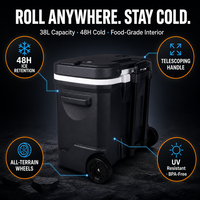 Glacière portable isotherme Bearhike Modern 33L avec roulettes, design isolé, maintien de la glace pendant 5 jours, absorption de la réfrigération des aliments