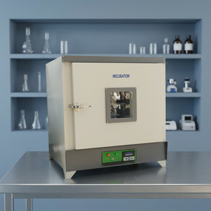 Incubateur à température constante avec contrôle numérique, alimentation 220-240V AC, utilisation en laboratoire - Product Image 2