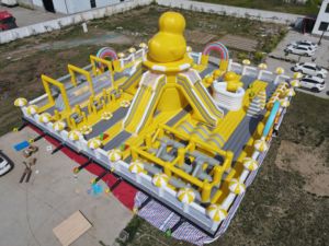 Vịt ngoài trời sân chơi bơm hơi Bouncer khô trượt Combo công viên bơm hơi cho trẻ em - Product Image 3