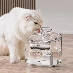 Fontaine à eau portable pour animaux de compagnie en forme de chat et de chien, design transparent, avec système de circulation automatique, facile à nettoyer, idéale pour le camping - Product Image 2