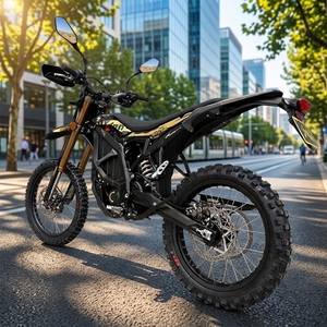 มอเตอร์ไซค์วิบากสำหรับผู้ใหญ่ Surron Ultra Dirt ปี 2026 ความเร็วสูง 24.5 กิโลวัตต์ Eu 24.5 กิโลวัตต์ Surron Ultra Bee 3c-off Road 2026 Surron Ultra - Product Image 4