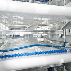 Nóng Bán PVC Vinyl Tráng Vải Bạt Cho Gà Lồng Fecal Băng Tải Vành Đai - Product Image 3