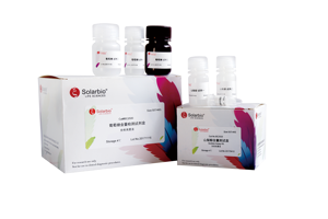 Набор для анализа активности соларбио ацетил-КоА-карбоксилазы (АКК) для научных исследований - Product Image 2