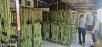 Voedsel Dehydrator Machine Industriële Dehydrator Droger Drogen Fruit Droger