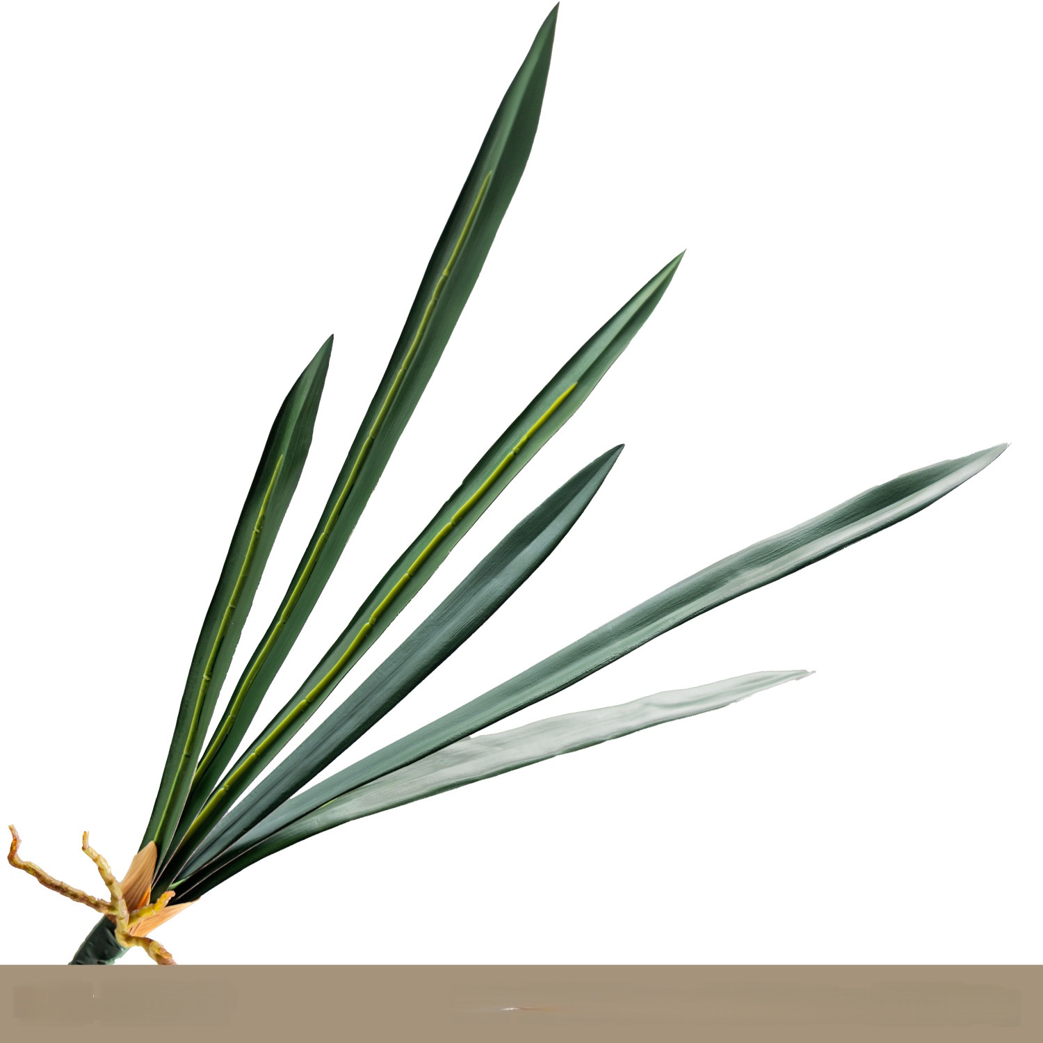 Huilan 6 feuilles