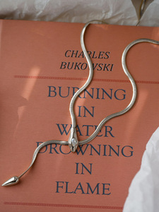 Collana a Catena a Osso di Serpente in Acciaio al Titanio Placcato Oro Stile Europeo Americano per Donne e Ragazze - Product Image 5