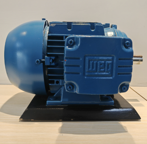 มอเตอร์เหนี่ยวนำ 3 เฟส แบบติดตั้งหน้าแปลน 6 ขั้ว รุ่น Weg W21 W22 W20 50hz 0.25KW~90 kW 220V/380V IE2 IE3 IE4 เชื่อมต่อโดยตรง - Product Image 6
