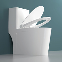 WC monobloc allongé avec abattant à fermeture silencieuse, design moderne, chasse d'eau puissante à jet siphonique, anti-colmatage et surface facile à nettoyer