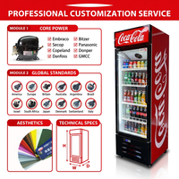 Réfrigérateur vertical commercial pour boissons avec porte vitrée, certifié CE, économe en énergie, personnalisable