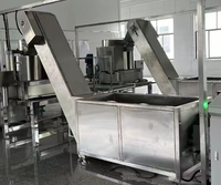 Hoge-snelheids gepersonaliseerde productielijn voor fruitleer, machine voor het maken van gedroogd fruit