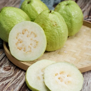 Aroma Concentrato al <span class=keywords><strong>Guava</strong></span> Tropicale per Alimenti e Bevande, Liquido di Alta Qualità per Prodotti Dolci e Succosi - Product Image 6