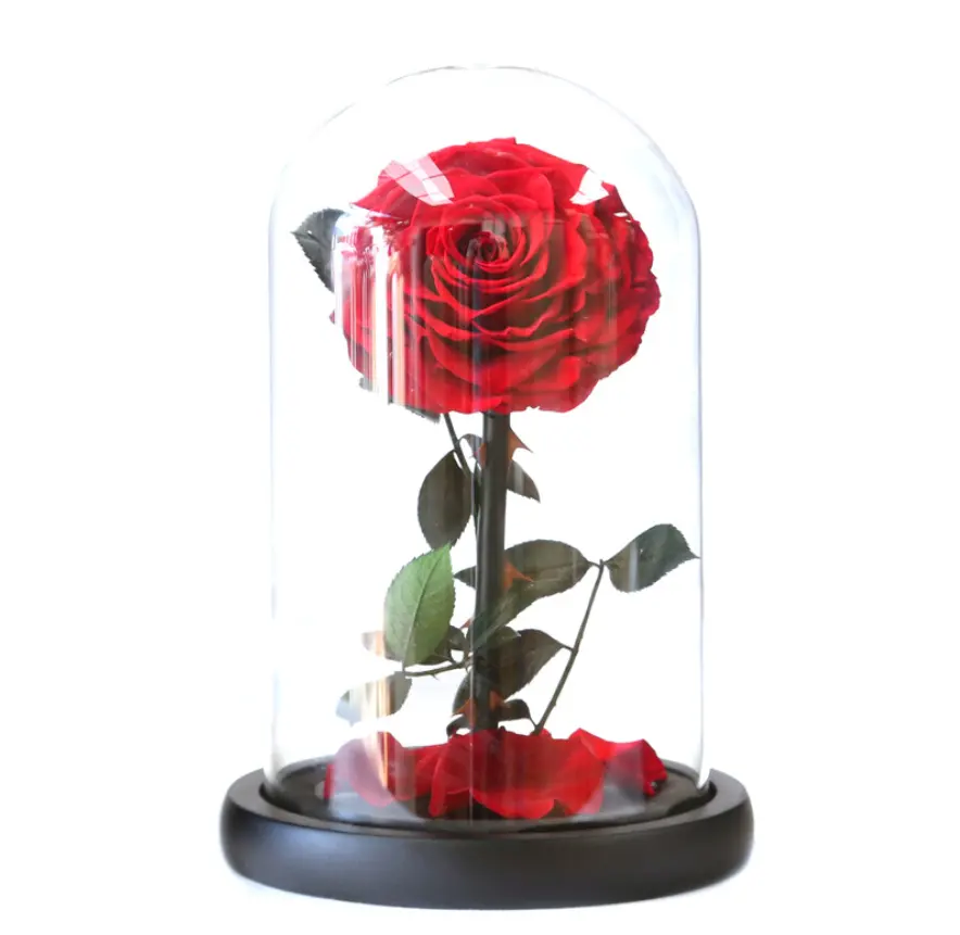 Gift Box Eternal Luxurious Valentine Gifts preserved rose in glass gift box