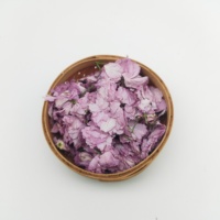 Ying Hua Thés en fleurs de haute qualité Fleur de cerisier séchée