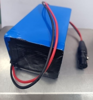 Pack de batteries au lithium personnalisé 24v 12ah Batterie au lithium-ion pour fauteuil roulant électrique Vélo électrique