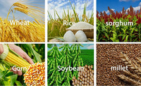 Unité complète autonome de séparation des grains pour maïs, sorgho, soja – Batteuse multifonctionnelle à prix direct usine pour la vente en gros