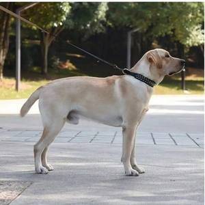 Arnés para Perro Estilo Punk con Remaches de Bala y Collar con Correa, Diseño Sólido, Novedad en Artículos para Mascotas - Product Image 3