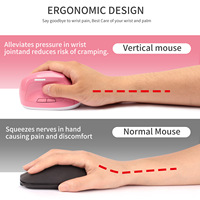MOQ 50 PCS Ratón inalámbrico vertical ergonómico con receptor USB