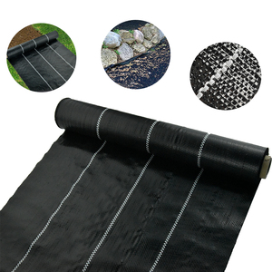 Skillful Manufacture 100m <b>Plastic</b> Ground <b>Cover</b> With <b>Greenhouse</b> - Product Image 4