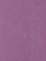 Plaque anti-collision Roland Purple