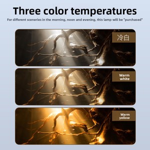 Focos de acuario Yee-<span class=keywords><strong>para</strong></span> paisajismo sudamericano-Focos de tanque nativo de observación de tres lagos <span class=keywords><strong>para</strong></span> acuarios - Product Image 4