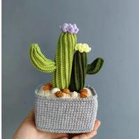 Cactus en laine crocheté à la main, exquis, en pot, mignon, mini, imperméable, léger, décoration de bureau, ornement pour la maison et le bureau