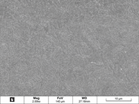Poudre d'acier moulé CX sphérique atomisée au gaz, résistante à la corrosion, 50HRC, pour moules d'injection, impression 3D SLM DMLS LPBF