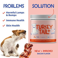 Poudre de champignon Turkey Tail probiotique pour la santé intestinale et le renforcement immunitaire en pot pour les humains