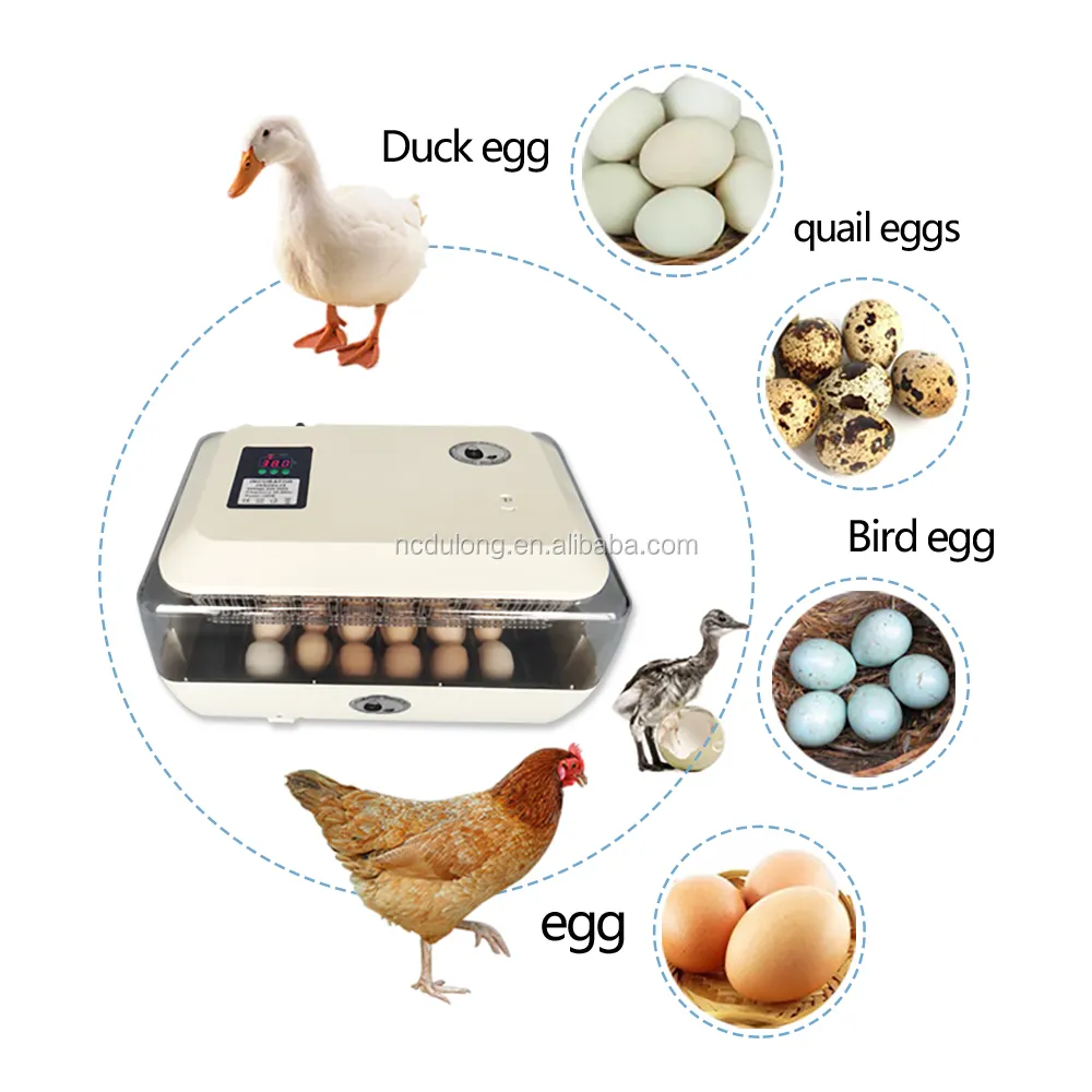 Incubadora de huevos automática digital eléctrica de plástico comercial e industrial profesional 24 huevos de gallina para incubadora de aves de corral