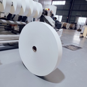 Papier de haute qualité 260 g/m², matière première pour gobelets en papier, rouleau de papier enduit de PE pour la fabrication de gobelets en papier - Product Image 2