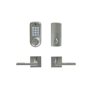 Cerradura electrónica Digital para puertas, cerrojo con manija, caja de China, embalaje de llaves de acero, SN o personalizado